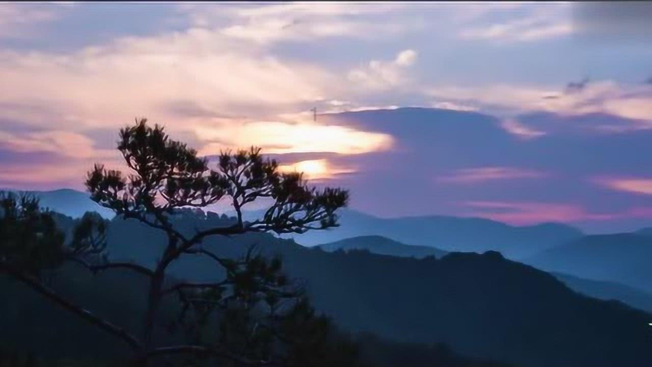 逃离木质的房屋