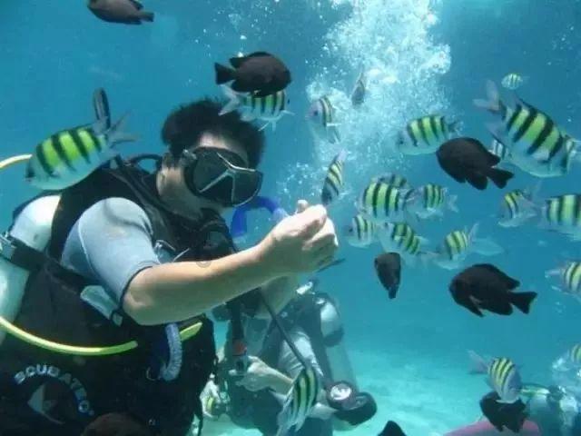 军统白公馆负责人杨进兴：曾经是戴笠的警卫，却因为身手敏捷暴露