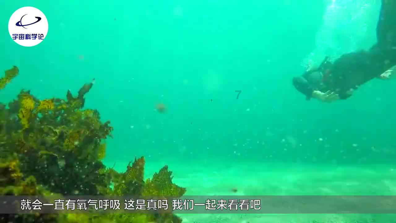 苏菲亚和安伯的休闲装