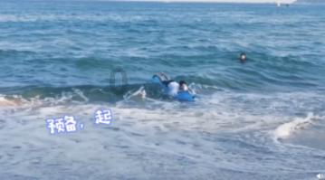 时尚小鸡救援