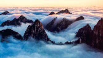 寂静森林找星星
