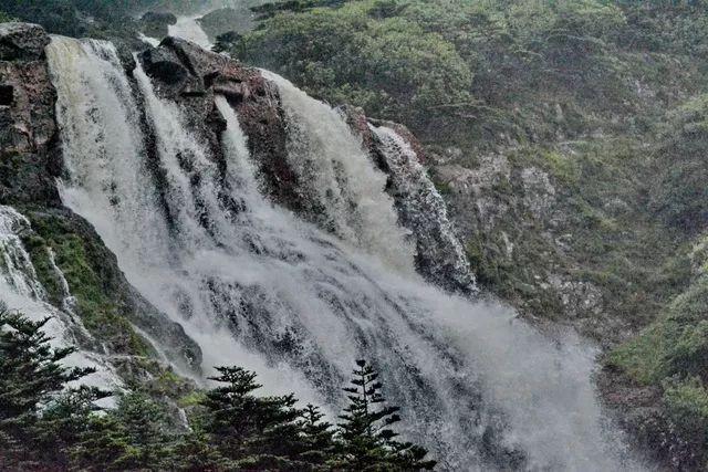 沪江开心词场