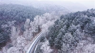 空中抛枪