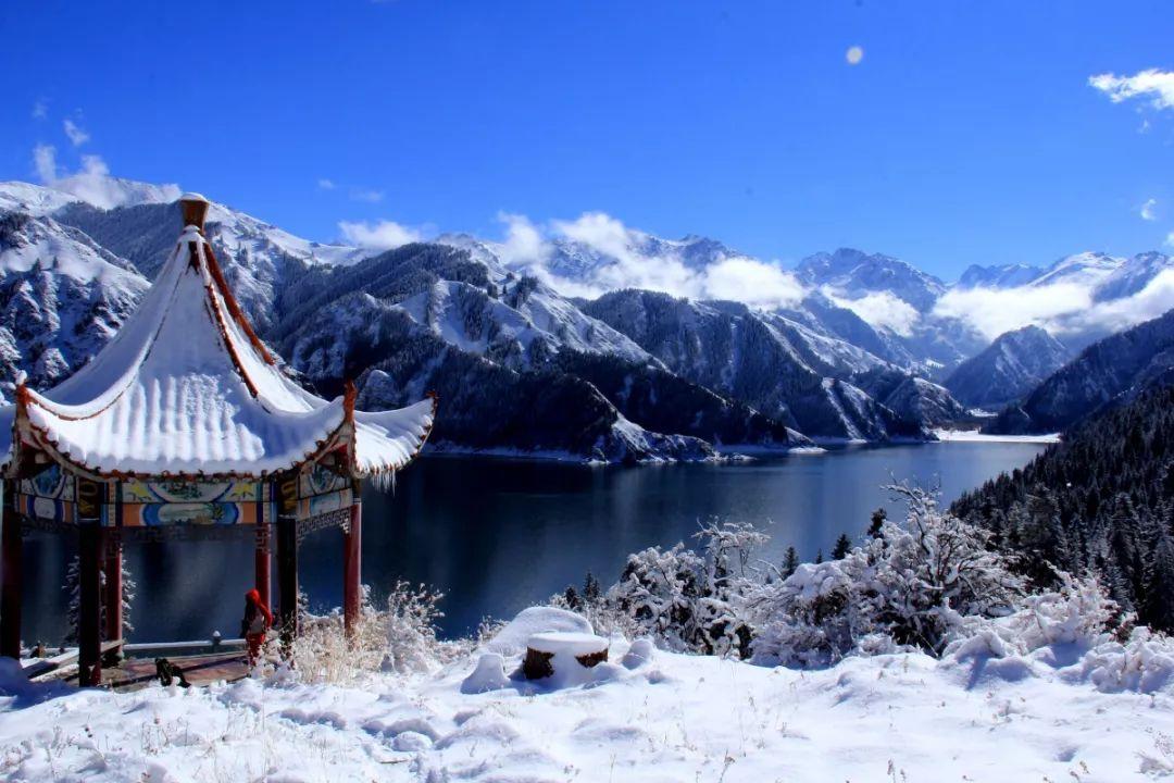 孙俪都市剧《蛮好的人生》来袭,汪俊执导,但看到男主我心情复杂